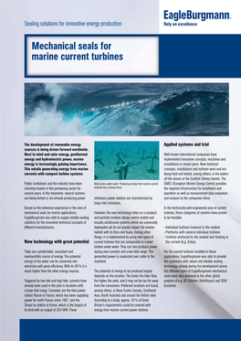 Solution: Mechanical Seals for Marine Current Turbines