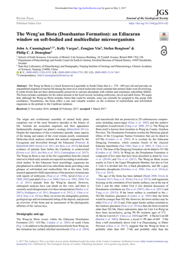 The Weng'an Biota (Doushantuo Formation): an Ediacaran Window