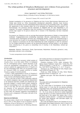 Observations of the Effects of Drought on Evergreen and Deciduous