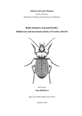 Radio Telemetry of Ground Beetles: Habitat Use and Movement Activity of Carabus Ullrichii