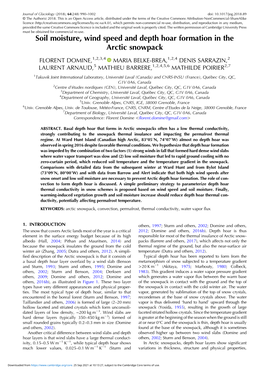 Soil Moisture, Wind Speed and Depth Hoar Formation in the Arctic Snowpack