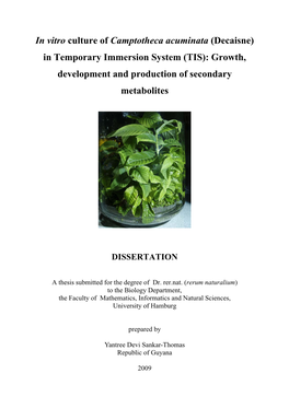 In Vitro Culture of Camptotheca Acuminata (Decaisne) in Temporary Immersion System (TIS): Growth, Development and Production of Secondary Metabolites