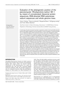 Evaluation of the Phylogenetic Position of the Planctomycete