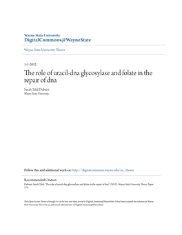 The Role of Uracil-Dna Glycosylase and Folate in the Repair of Dna Damage