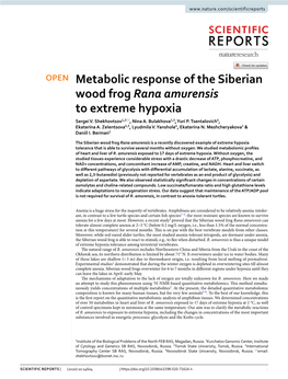 Metabolic Response of the Siberian Wood Frog Rana Amurensis to Extreme Hypoxia Sergei V