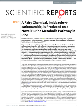 A Fairy Chemical, Imidazole-4-Carboxamide, Is