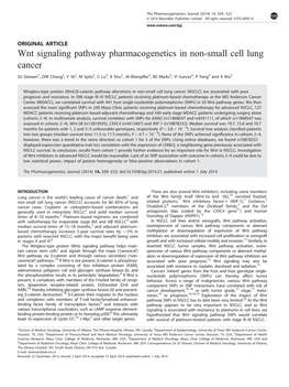 Wnt Signaling Pathway Pharmacogenetics in Non-Small Cell Lung Cancer