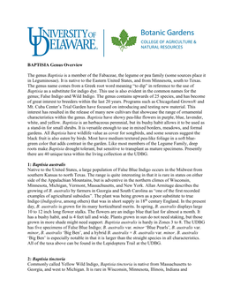 BAPTISIA Genus Overview the Genus Baptisia Is a Member of The