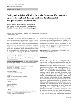 Embryonic Origins of Hull Cells in the Flatworm Macrostomum Lignano Through Cell Lineage Analysis: Developmental and Phylogenetic Implications