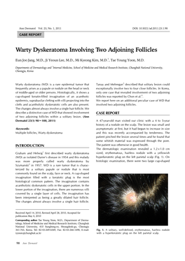 Warty Dyskeratoma Involving Two Adjoining Follicles