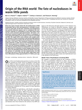 Origin of the RNA World: the Fate of Nucleobases in Warm Little Ponds