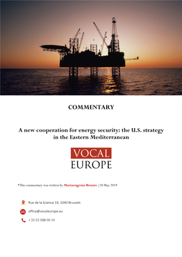 COMMENTARY a New Cooperation for Energy Security