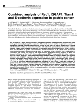 Combined Analysis of Rac1, IQGAP1, Tiam1 and E-Cadherin Expression in Gastric Cancer