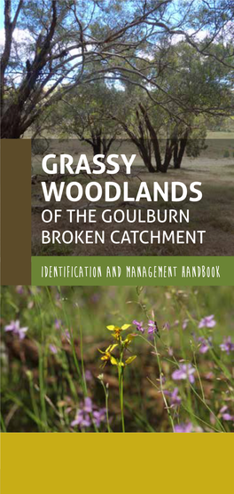 Grassy Woodlands of the Goulburn Broken Catchment
