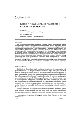 Role of Phragmoplast Filaments in Cell-Plate Formation