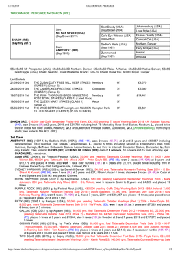 TAILORMADE PEDIGREE for SHADN (IRE)