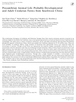 Probable Developmental and Adult Cnidarian Forms from Southwest China