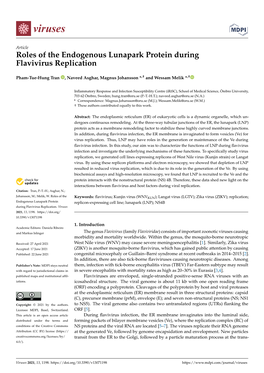 Roles of the Endogenous Lunapark Protein During Flavivirus Replication