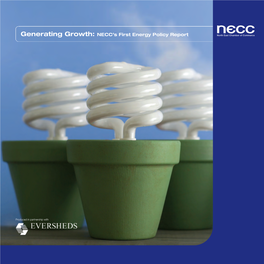 Generating Growth: NECC's First Energy Policy Report