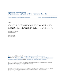 Capturing Whooping Cranes and Sandhill Cranes by Night-Lighting