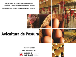 Avicultura De Postura Em Minas Gerais No Brasil E No Mundo
