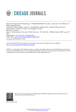 Floral Developmental Morphology of Persea Americana (Avocado, Lauraceae): the Oddities of Male Organ Identity Author(S): Matyas Buzgo, André S