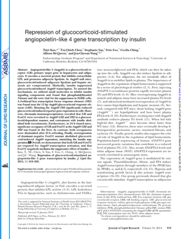 Repression of Glucocorticoid-Stimulated Angiopoietin-Like 4 Gene Transcription by Insulin