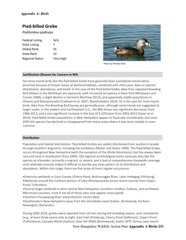 Pied-Billed Grebe