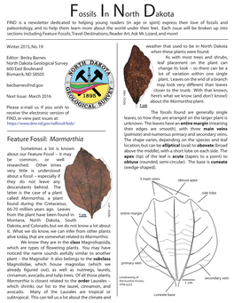 Fossils in North Dakota