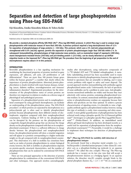 Separation and Detection of Large Phosphoproteins Using Phos-Tag SDS-PAGE