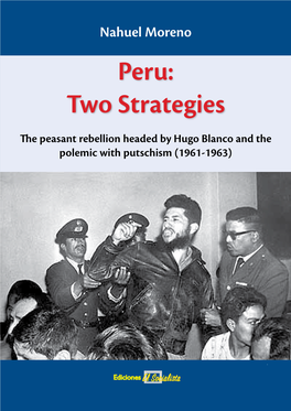 Peru: Two Strategies