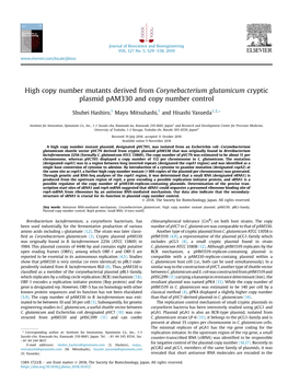 High Copy Number Mutants Derived from Corynebacterium Glutamicum Cryptic Plasmid Pam330 and Copy Number Control