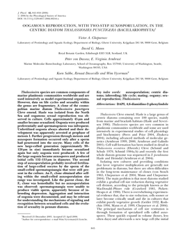 Oogamous Reproduction, with Two-Step Auxosporulation, in the Centric Diatom Thalassiosira Punctigera (Bacillariophyta)1