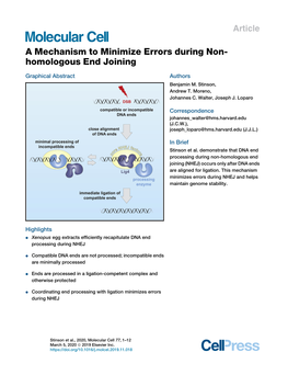 A Mechanism to Minimize Errors During Non-Homologous End Joining, Molecular Cell (2019), Doi.Org/10.1016/J.Molcel.2019.11.018 Molecular Cell Article