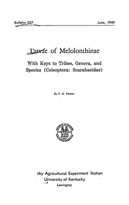 Of Melolonthinae