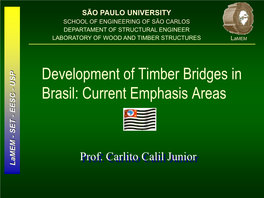 Timber Piles