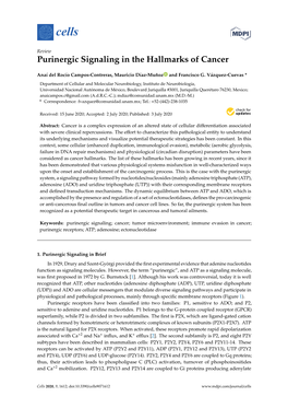 Purinergic Signaling in the Hallmarks of Cancer