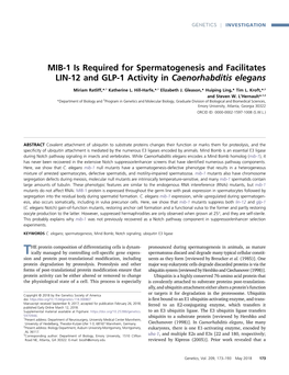 MIB-1 Is Required for Spermatogenesis and Facilitates LIN-12 and GLP-1 Activity in Caenorhabditis Elegans