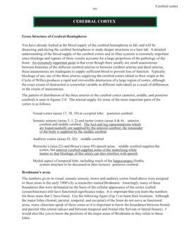 Cerebral Cortex 595
