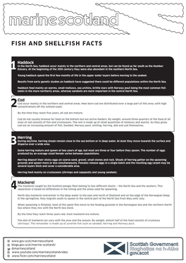 Fish and Shellfish Facts