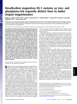 Desulfovibrio Magneticus RS-1 Contains an Iron- and Phosphorus-Rich Organelle Distinct from Its Bullet- Shaped Magnetosomes