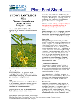 SHOWY PARTRIDGE Plant Can Be Used to Beautify Areas Where Wildflowers Are Planted