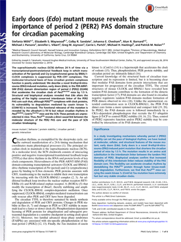 Early Doors (Edo) Mutant Mouse Reveals the Importance of Period 2 (PER2) PAS Domain Structure for Circadian Pacemaking