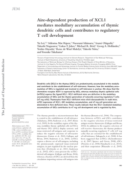 Aire-Dependent Production of XCL1 Mediates Medullary Accumulation of Thymic Dendritic Cells and Contributes to Regulatory T Cell Development