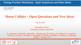 Muon Collider - Open Questions and New Ideas