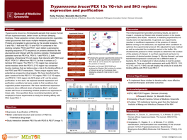 Trypanosoma Brucei PEX 13S YG-Rich and SH3 Regions: Expression and Purification