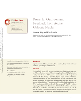 Powerful Outflows and Feedback from Active Galactic Nuclei