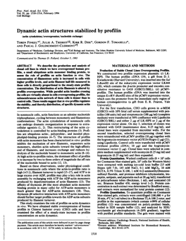 Dynamic Actin Structures Stabilizedby Profilin