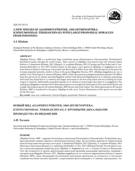 A New Species of Allophrys Förster, 1869 (Hymenoptera: Ichneumonidae: Tersilochinae) with Large Propodeal Spiracles from Indonesia