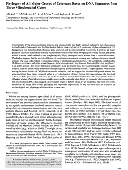 Phylogeny of All Major Groups of Cetaceans Based on DNA Sequences from Three Mitochondrial Genes